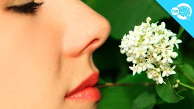 Why Do You Stop Noticing Smells After A While?