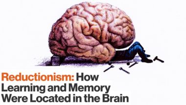 Eric Kandel: How Reductionism Uncovered Secrets of Long-term and Short-term Memory