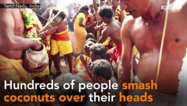 People smash coconuts over their heads in search of ‘luck’