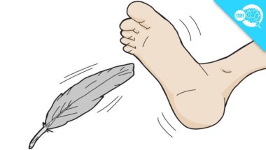 Why Can't You Tickle Yourself?