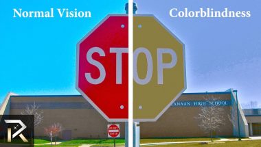10 Ways Color Blind People See the World