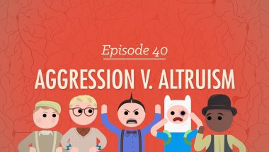 Crash Course Psychology #40: Aggression V. Altruism