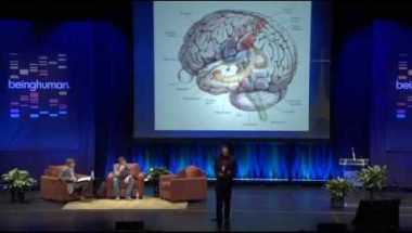 Being Human: Perception & The Brain