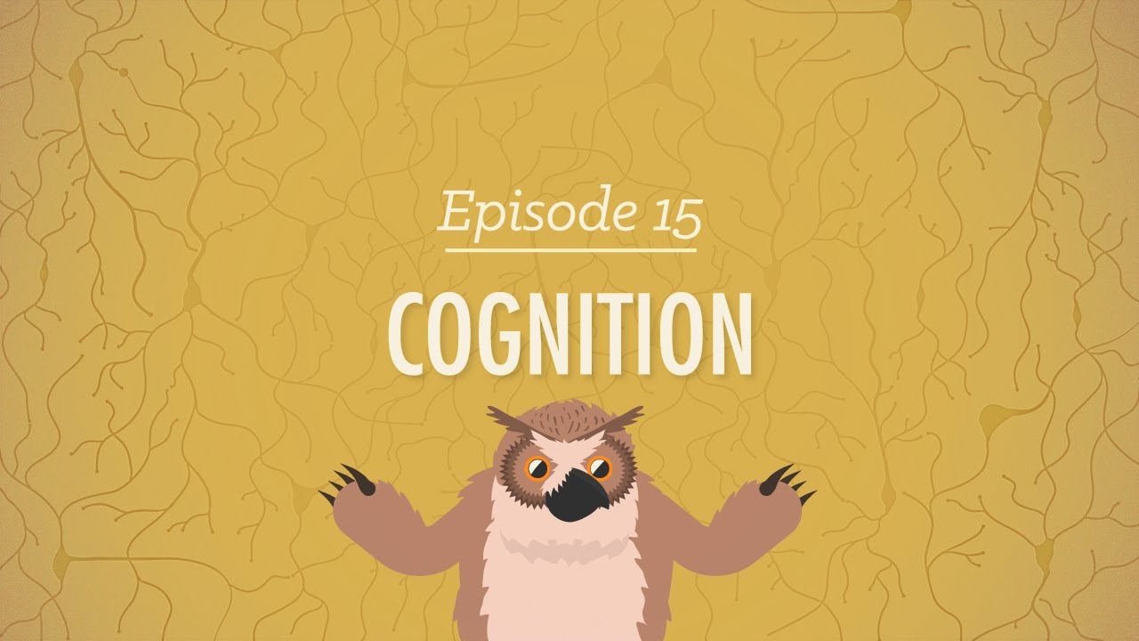 Crash Course Psychology 15 Cognition How Your Mind Can Amaze and