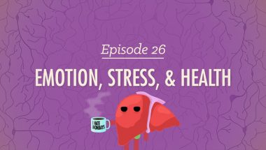 Crash Course Psychology #26: Emotion, Stress and Health