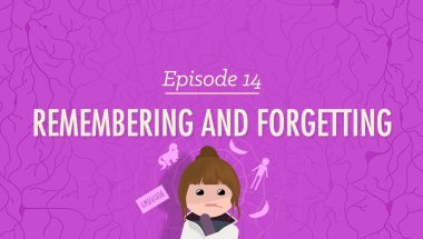 Crash Course Psychology #14: Remembering and Forgetting