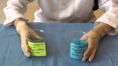 Neuroanatomy Video Lab - Brain Dissections: Sensation from the Face