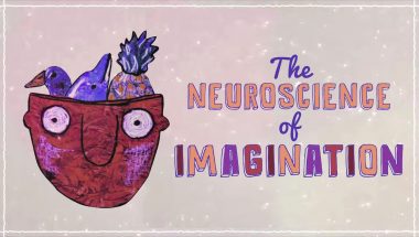 The neuroscience of imagination