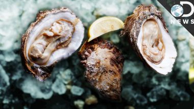 There's Only One Aphrodisiac According To Science