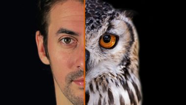 Why Do I Have Useless Body Parts?!