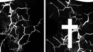 1.5 Deconversion: The Bible (B)