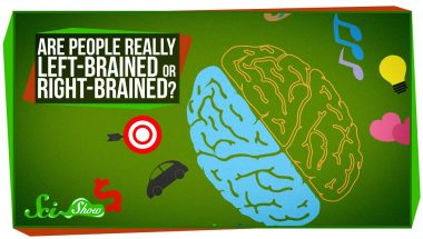 Are People Really Left-Brained or Right-Brained?