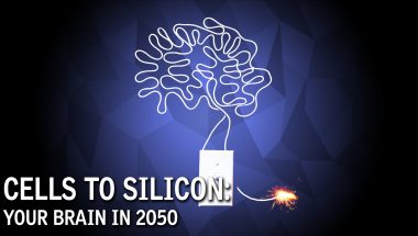 Cells To Silicon: Your Brain In 2050