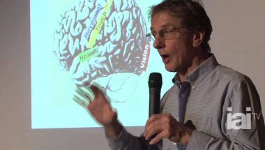 Colin Blakemore: Neuro-Everything, Revealing the Secrets of the Human Brain