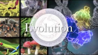 Evolution - It's not a contreversy