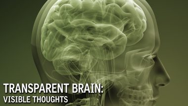 Transparent Brain: Visible Thoughts