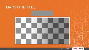 Markus Meister: Neural Computation