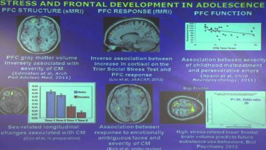 Rajita Sinha: The Stressed Brain