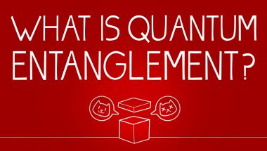 What can Schrödinger's cat teach us about quantum mechanics?