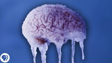 Why do You Get a Brain Freeze?