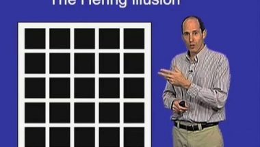 Jeremy Nathans: The Hering Optical Illusion