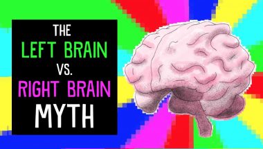 The left brain vs. right brain myth