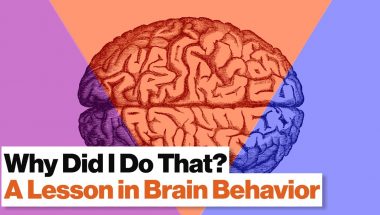 Robert Sapolsky: 3 Brain Systems That Control Your Behavior: Reptilian, Limbic, Neo Cortex