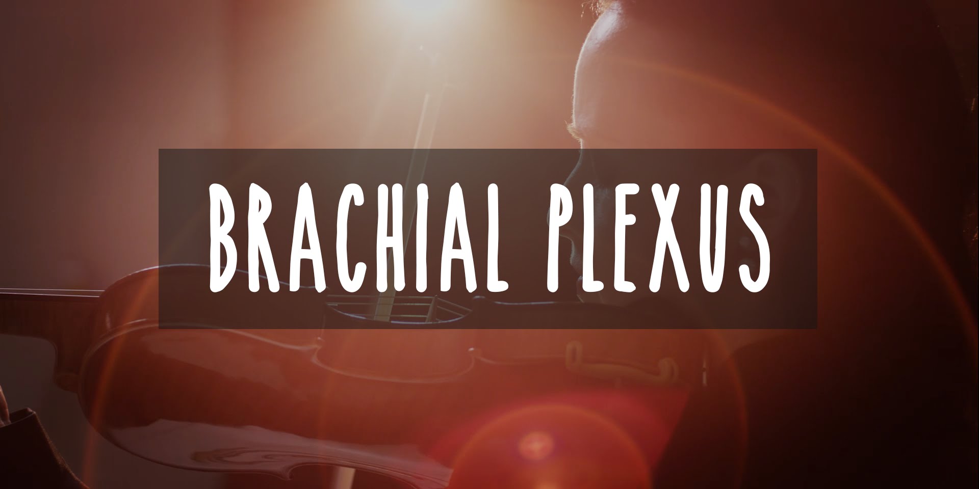 Virtuosity, How our Fingers Can Make Music: BRACHIAL PLEXUS