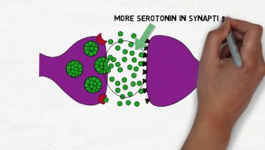 2-Minute Neuroscience: Selective Serotonin Reuptake Inhibitors (SSRIs)