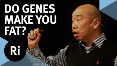Giles Yeo: Do Your Genes Make You Fat?