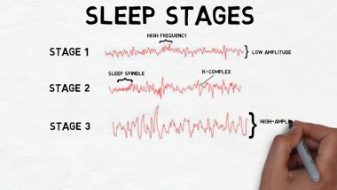 2-Minute Neuroscience: Stages of Sleep
